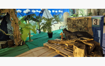 RÉSULTATS DU 3D INDOOR